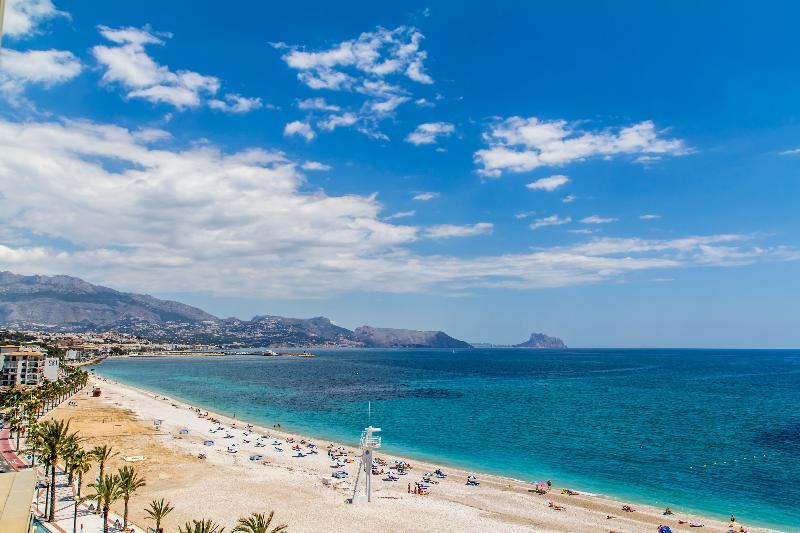 Kaktus Kaktus Albir